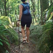 Dean Banko, Bethany Perri - Lower to Upper Baughman Trail, uphill then downhill, out and back (PA)
