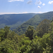 Dean Banko, Bethany Perri - Lower to Upper Baughman Trail, uphill then downhill, out and back (PA)