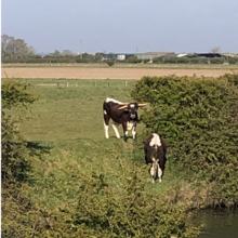 Michael Barnaby - Rothschild Way (United Kingdom)