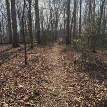 Duncan Bell - Birkhead Mountain Trail