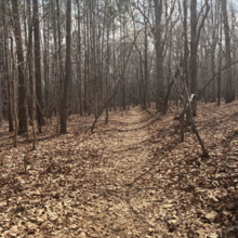 Duncan Bell - Birkhead Mountain Trail