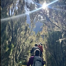 Lindsey Churchill (aka Bell), Kelly Saunders, Dagne Taylor, Stuart Holmes, Joseph Mrope, Gaudence Lekule, Victor Oisso, Razack Buu - Kilimanjaro (Tanzania)