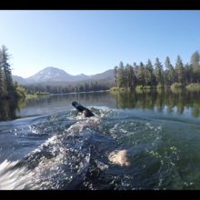 Jay Humphreys - Lassen Picnic