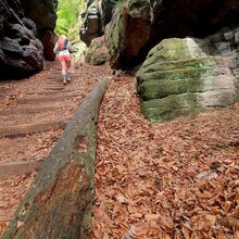 Yvonne Keßler - Elbe Sandstone Mountains Malerweg (Germany)