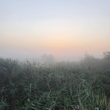 Amie Lake-Knott - Peatlands Way (UK)