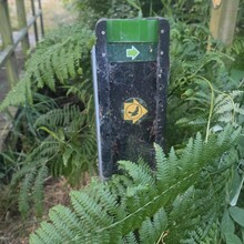 Amie Lake-Knott - Peatlands Way (UK)