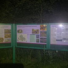 Amie Lake-Knott - Peatlands Way (UK)