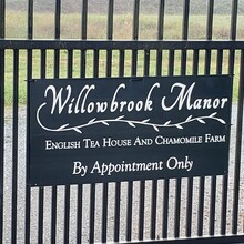 Trisha Steidl - Cascade Trail: Sedro Woolley - Concrete (WA)