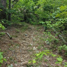 Halie Kastl - Bell Mountain Loop Trail (MO)