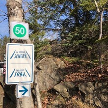Marc Fortier - Great Trail in Gatineau Park (QC, Canada)