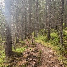 Randi Aalgaard - Nordmarka High Five (Norway)