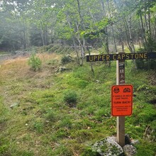 Amber Rankin Marble - Great Pond Mountain Summit (Capstone to Stuart Gross) (ME)