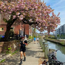 Michael Gagliardi - Philly Four Corners (Philadelphia perimeter)