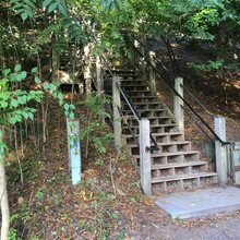 Buzz Burrell - Mt Baldhead Stairs Vertical K (MI)