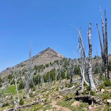 Christof Teuscher - Strawberry Mountain Wilderness Traverse (OR)