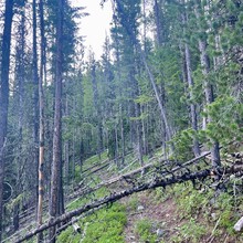 Christof Teuscher - Strawberry Mountain Wilderness Traverse (OR)