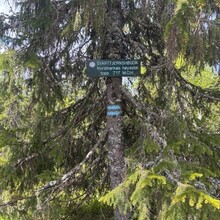 Randi Aalgaard - Nordmarka High Five (Norway)