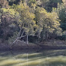 Andrew Scott - Harbour to Hawkesbury Track