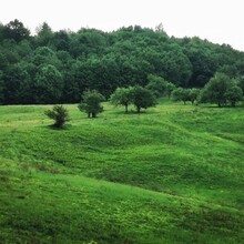 Mladen Nedic - Put Srebrenicke povelje