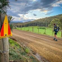 Piotr Babis - Tasmanian Trail (TAS, Australia)
