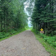 Megan Veldkamp - Pine Line Trail (WI)