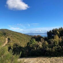 Rowan Calvert - Valley Loop Ultra