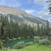 Jonny Wolf - Sawback Trail