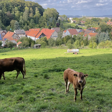 Anita Eppelin, Dörte Eppelin - Ith-Hils Weg (Germany)