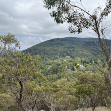 Jo Taylor - Macedon Ranges Walking Track