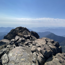 Anna Maxwell - The Brothers (WA)