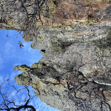 Wendy Drummond - MT. Wrightson via Old Baldy