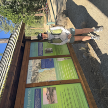 Allison H Powell - Tahoe Yosemite Trail (CA)