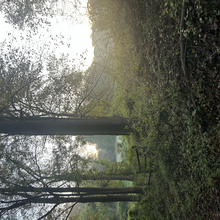 Meg Landymore, Alyssa Cook - Duckett Reservoir Loop (MD)