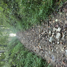 Meg Landymore, Alyssa Cook - Duckett Reservoir Loop (MD)
