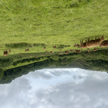 Ben Diggins, Sayaka Okano - Dartmoor East to West, Bovey to Tavy