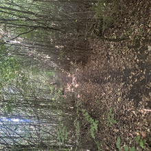 Martin Wagner - Ries-Panoramaweg