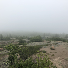 Meagan Denman - Cadillac Mountain (Acadia NP, ME)