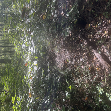 Meg Landymore, Alyssa Cook - Duckett Reservoir Loop (MD)
