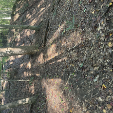 Meg Landymore, Alyssa Cook - Duckett Reservoir Loop (MD)