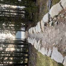 Allison H Powell - Tahoe Yosemite Trail (CA)