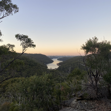 Michelle Watts - Waterway Ultra: Upper, Middle, Lower Harbour Loop (NSW Australia)