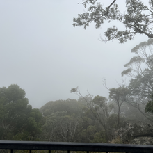 Jo Taylor - Macedon Ranges Walking Track