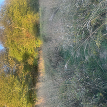 Meg Landymore - Appalachian Trail: Port Clinton - Delaware Water Gap (PA)