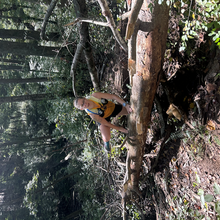 Meg Landymore, Alyssa Cook - Duckett Reservoir Loop (MD)