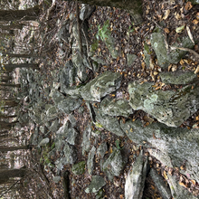 Meg Landymore - Appalachian Trail: Port Clinton - Delaware Water Gap (PA)