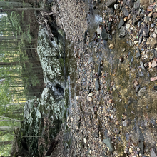 Meg Landymore, Alyssa Cook - Duckett Reservoir Loop (MD)
