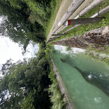 Ria Xi - Via Francigena Italiana (itinerario di Sigerico dal Colle del Gran San Bernardo a Roma) (Italy)