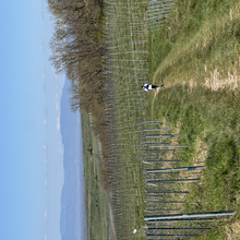 Jakob Möller, Clemens Möller - Kaiserstuhltrail (Bee-eater path & Kaiserstuhl path)