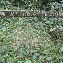 Jo Taylor - Macedon Ranges Walking Track