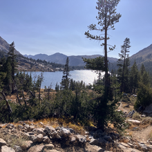 Allison H Powell - Tahoe Yosemite Trail (CA)